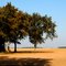 Paysage