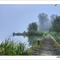 Brume matinale sur le Lac Amance