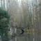 L'Orge à Arpajon (91) - Randonnée du 6 décembre 2008