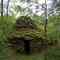 Cadole, région des Riceys 10