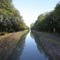 Canal de Berry