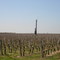 Chauffage des vignes contre le gel