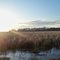 Buffalo lake