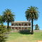 Palm Shrouded Victorian Manor