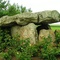 *Dolmen les Pierres de Sainte-Geneviève (2)