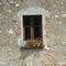 Window Box, Saudoy