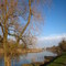 La loire en hiver.