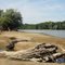 Treibholz und Sand