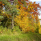 Couleurs d'automne Bourgogne JC