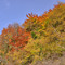 Couleurs d'automne Bourgogne JC