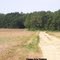 Les Bordes-89-