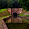 Tunnel Arzviller, Canal de la Marne au Rhin
