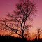 Coucher de soleil # Saulcy-sur-Meurthe