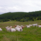 Route des Cretes, Alsace