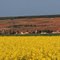 The spring colours of rural Burgundy