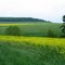 Pres de la ferme de La Reppe