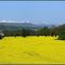 Sancy depuis Issoire