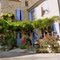 La maison des plantes.