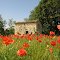 Petit cabanon au printemps