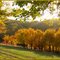 Journée d'Automne...