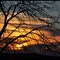 Soleil d'Hiver...