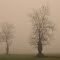 brume sur boulieu