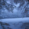 Première neige / First snow