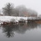 Pond in winter