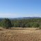 Woolgar Cabin Lookout