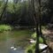 Haigler Creek