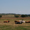 A distant view to Tanavelle