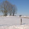 Cantal, entre Murat et Saint Flour.
