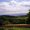 La Margeride
