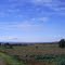Limagne de Brioude et Puy de Dôme au loin