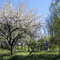 jardin de Saint Etienne du bois
