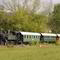 Train touristique des  Monts du Lyonnais dans la vallée de l'Azergue