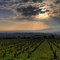 Beaujolais sunrise
