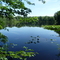 Morse Lake from the south
