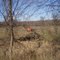 Abandoned Earth Mover