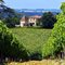 View of St. Jouannet through the vines