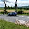 Rallye du Rouergue 2012- Salmiech, dernière spéciale