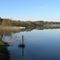 Lac d'Arjuzanx