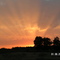 Rayons du soir sur les Landes