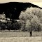 FRANCE - ST BERTRAND DE COMMINGES