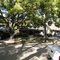 biffs house from back to the future