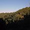 Mount Wilson Observatory