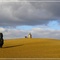 Paysage du Tarn
