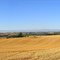 Une partie de la chaîne pyrénéenne vue depuis le sud tarnais,environ 200kms