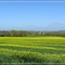 Le printemps  Tarnais