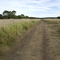 Marais de la Perge, Vendays.